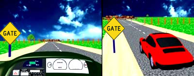 P1 AND P2 LEARNER LICENCE